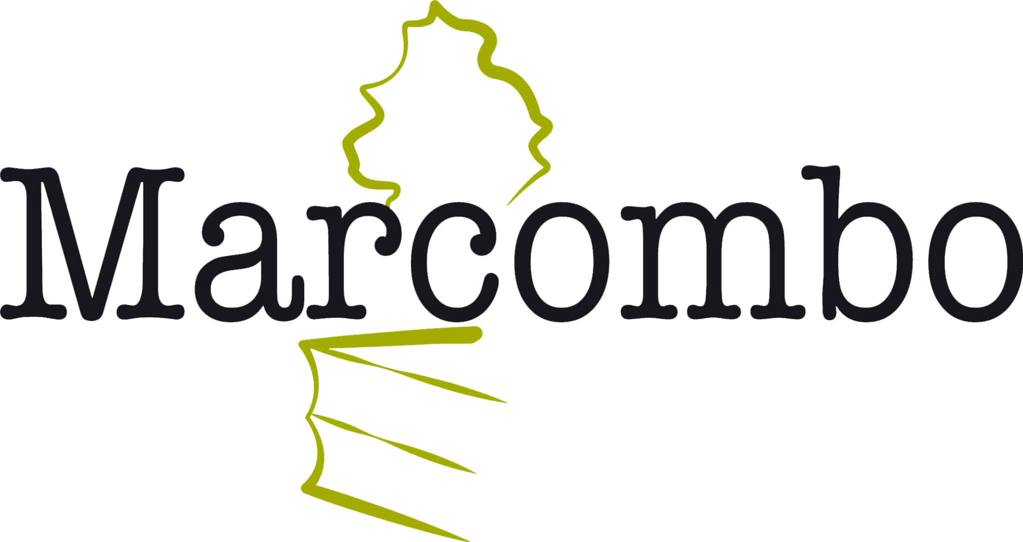 Editorial Marcombo